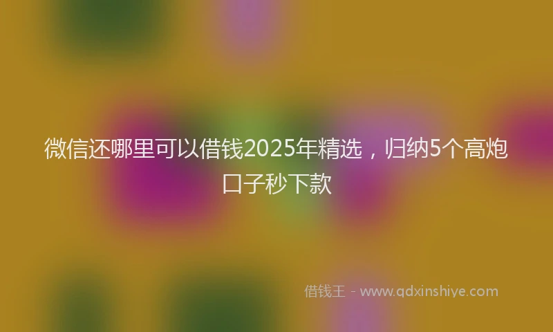 微信还哪里可以借钱2025年精选，归纳5个高炮口子秒下款