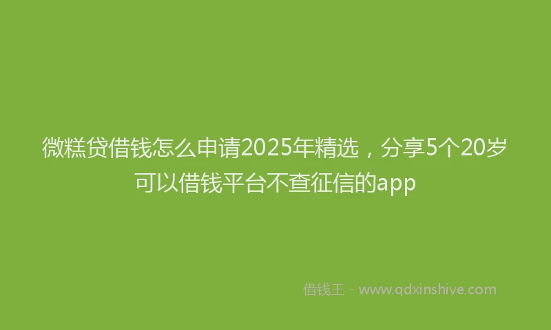 微糕贷借钱怎么申请2025年精选，分享5个20岁可以借钱平台不查征信的app