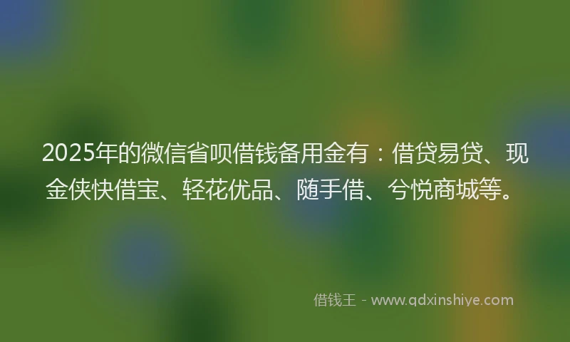 2025年的微信省呗借钱备用金有：借贷易贷、现金侠快借宝、轻花优品、随手借、兮悦商城等。