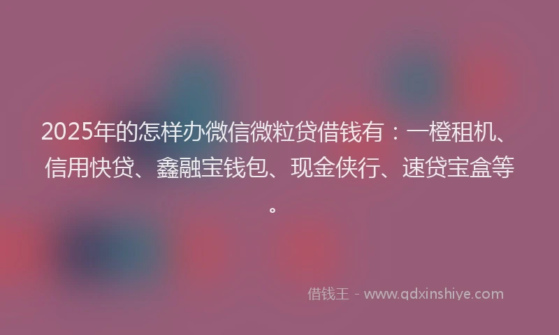 2025年的怎样办微信微粒贷借钱有：一橙租机、信用快贷、鑫融宝钱包、现金侠行、速贷宝盒等。