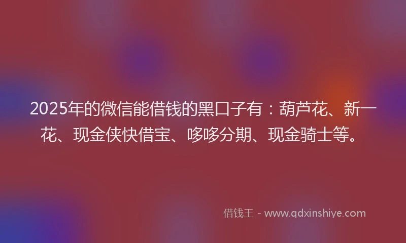 2025年的微信能借钱的黑口子有：葫芦花、新一花、现金侠快借宝、哆哆分期、现金骑士等。