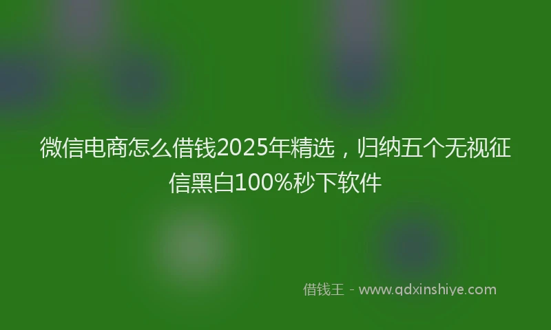 微信电商怎么借钱2025年精选，归纳五个无视征信黑白100%秒下软件