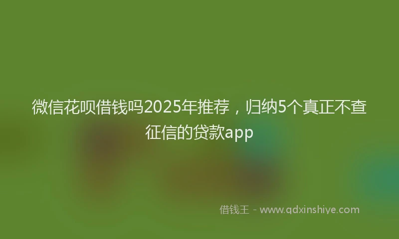 微信花呗借钱吗2025年推荐，归纳5个真正不查征信的贷款app