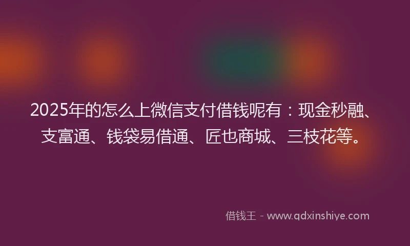 2025年的怎么上微信支付借钱呢有：现金秒融、支富通、钱袋易借通、匠也商城、三枝花等。