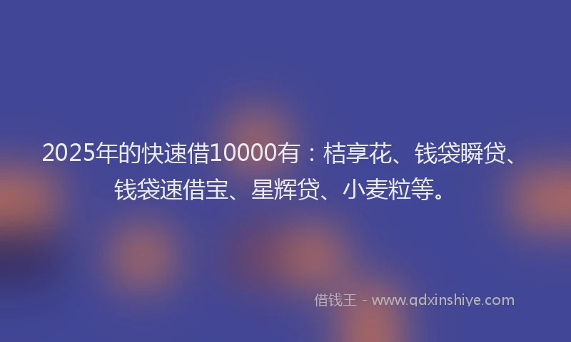 2025年的快速借10000有：桔享花、钱袋瞬贷、钱袋速借宝、星辉贷、小麦粒等。