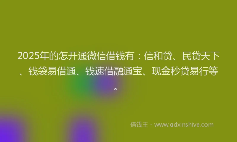 2025年的怎开通微信借钱有：信和贷、民贷天下、钱袋易借通、钱速借融通宝、现金秒贷易行等。