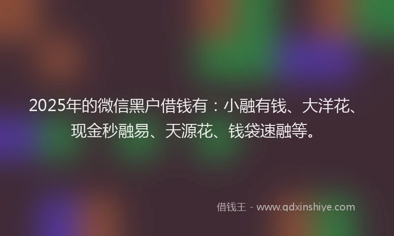 2025年的微信黑户借钱有：小融有钱、大洋花、现金秒融易、天源花、钱袋速融等。