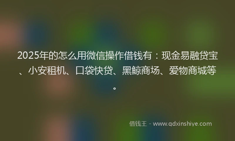 2025年的怎么用微信操作借钱有：现金易融贷宝、小安租机、口袋快贷、黑鲸商场、爱物商城等。