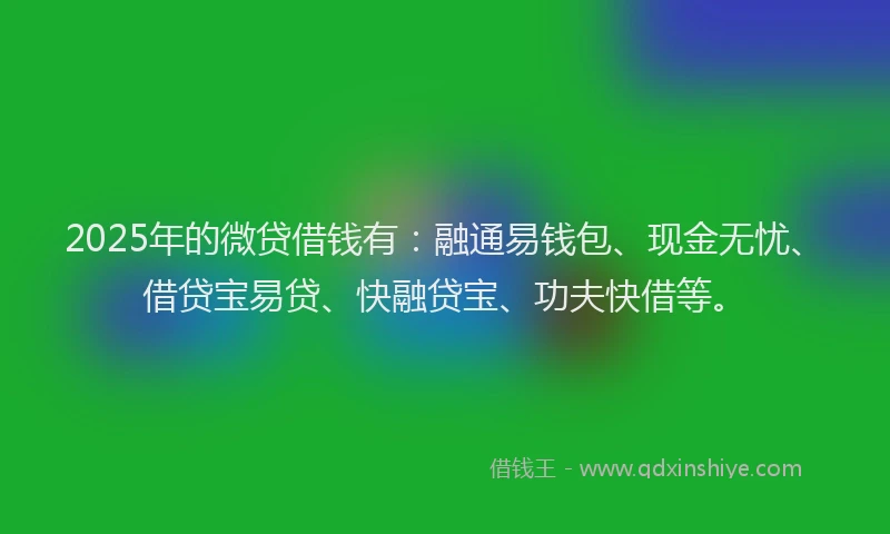 2025年的微贷借钱有：融通易钱包、现金无忧、借贷宝易贷、快融贷宝、功夫快借等。