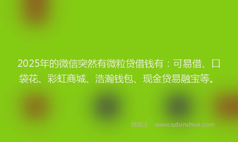 2025年的微信突然有微粒贷借钱有：可易借、口袋花、彩虹商城、浩瀚钱包、现金贷易融宝等。