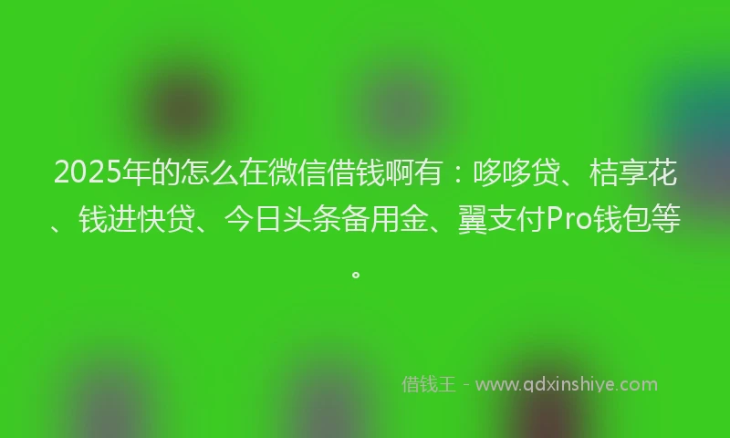 2025年的怎么在微信借钱啊有：哆哆贷、桔享花、钱进快贷、今日头条备用金、翼支付Pro钱包等。
