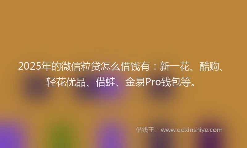2025年的微信粒贷怎么借钱有：新一花、酷购、轻花优品、借蛙、金易Pro钱包等。