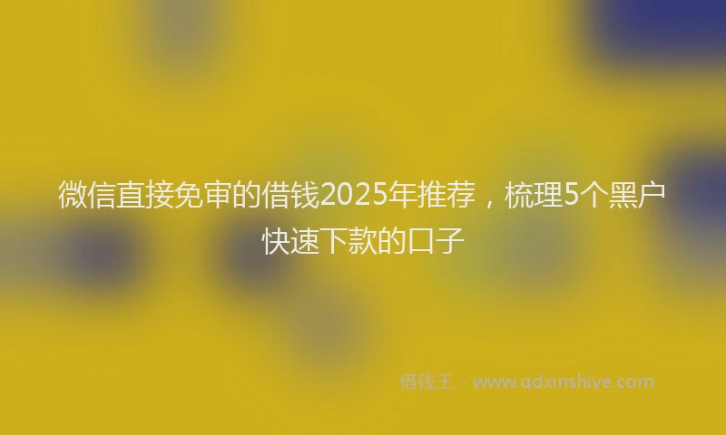 微信直接免审的借钱2025年推荐，梳理5个黑户快速下款的口子