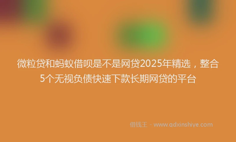 微粒贷和蚂蚁借呗是不是网贷2025年精选，整合5个无视负债快速下款长期网贷的平台