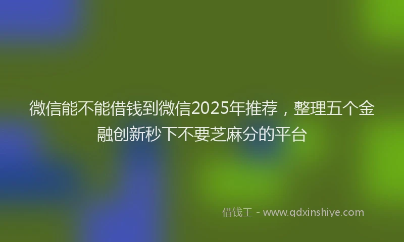 微信能不能借钱到微信2025年推荐，整理五个金融创新秒下不要芝麻分的平台