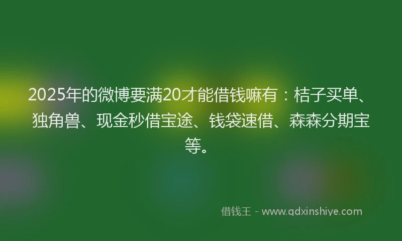 2025年的微博要满20才能借钱嘛有：桔子买单、独角兽、现金秒借宝途、钱袋速借、森森分期宝等。