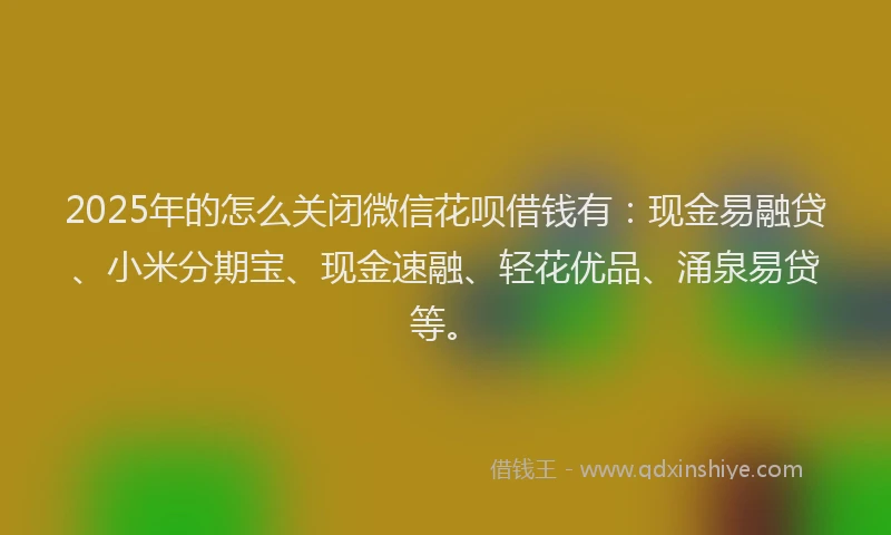 2025年的怎么关闭微信花呗借钱有：现金易融贷、小米分期宝、现金速融、轻花优品、涌泉易贷等。