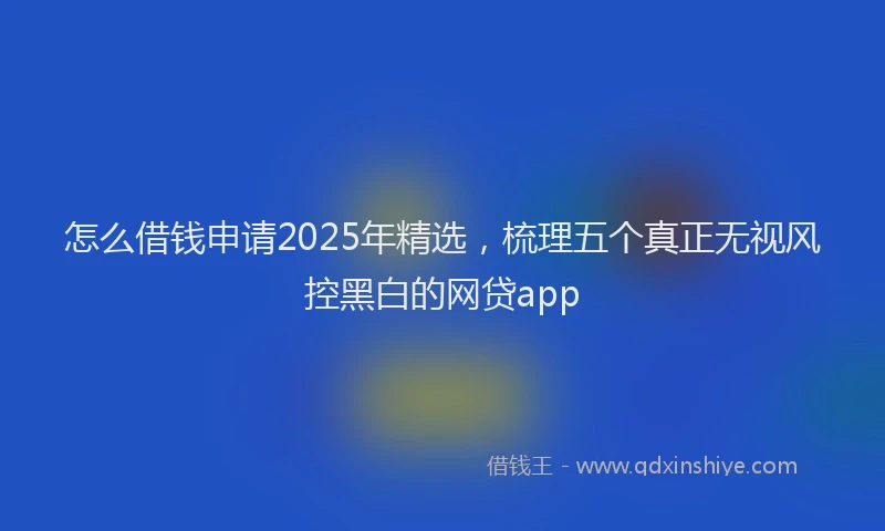 怎么借钱申请2025年精选，梳理五个真正无视风控黑白的网贷app
