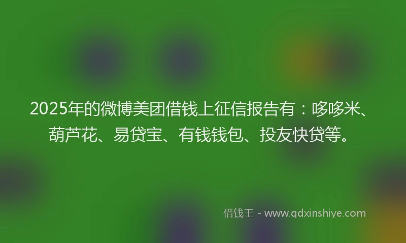 2025年的微博美团借钱上征信报告有：哆哆米、葫芦花、易贷宝、有钱钱包、投友快贷等。