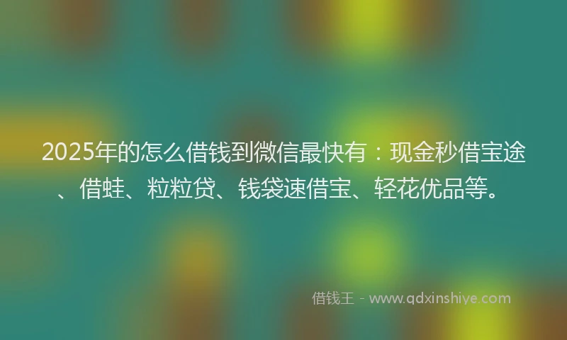 2025年的怎么借钱到微信最快有：现金秒借宝途、借蛙、粒粒贷、钱袋速借宝、轻花优品等。