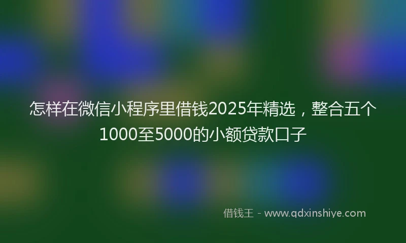 怎样在微信小程序里借钱2025年精选，整合五个1000至5000的小额贷款口子