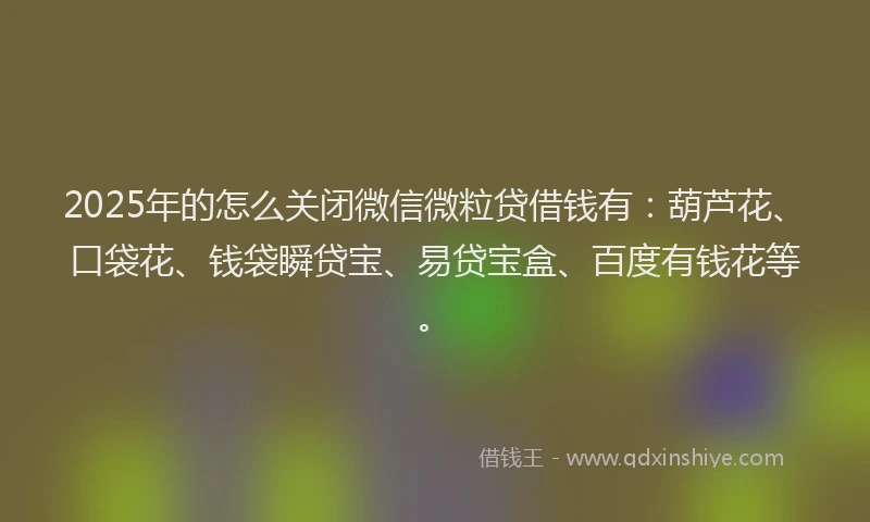 2025年的怎么关闭微信微粒贷借钱有：葫芦花、口袋花、钱袋瞬贷宝、易贷宝盒、百度有钱花等。