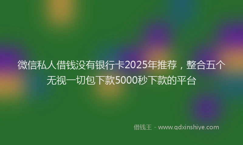 微信私人借钱没有银行卡2025年推荐，整合五个无视一切包下款5000秒下款的平台