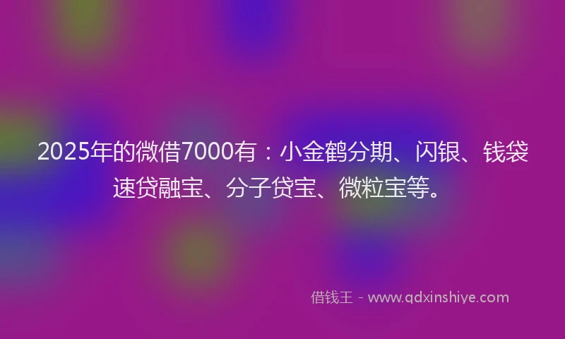 2025年的微借7000有：小金鹤分期、闪银、钱袋速贷融宝、分子贷宝、微粒宝等。