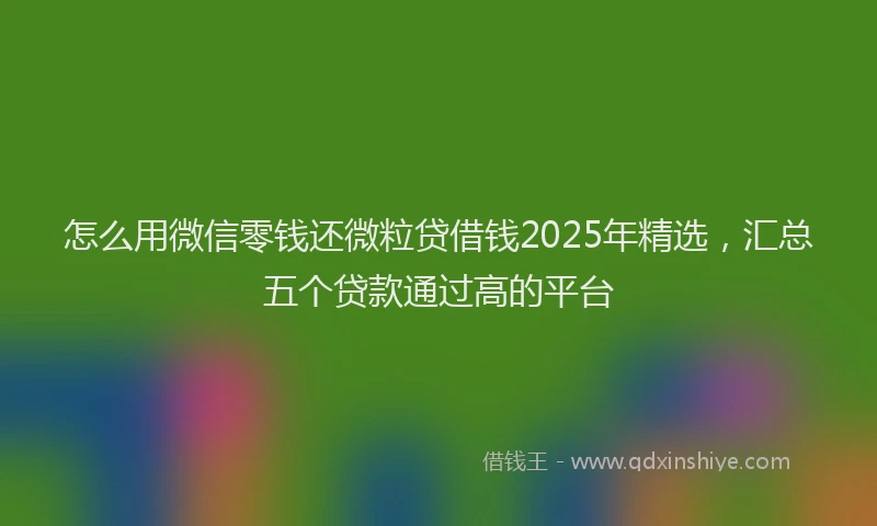 怎么用微信零钱还微粒贷借钱2025年精选，汇总五个贷款通过高的平台