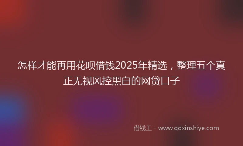 怎样才能再用花呗借钱2025年精选，整理五个真正无视风控黑白的网贷口子