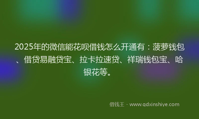 2025年的微信能花呗借钱怎么开通有：菠萝钱包、借贷易融贷宝、拉卡拉速贷、祥瑞钱包宝、哈银花等。