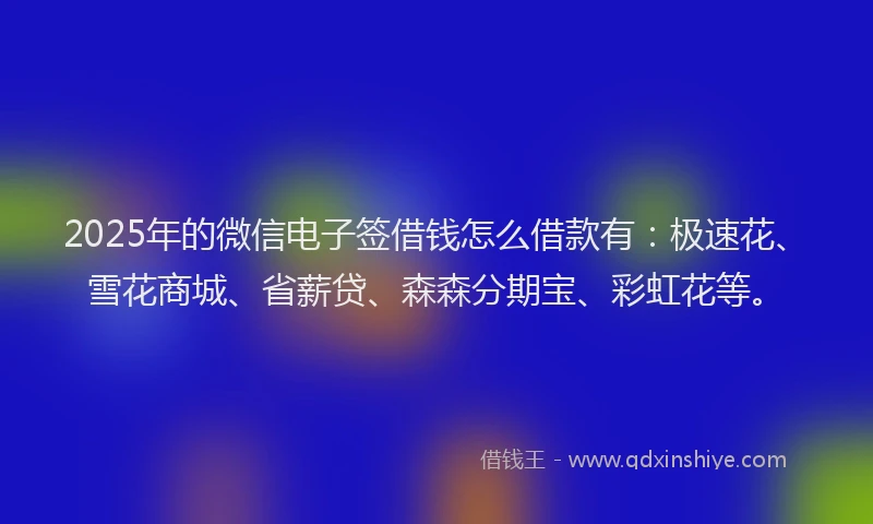 2025年的微信电子签借钱怎么借款有：极速花、雪花商城、省薪贷、森森分期宝、彩虹花等。
