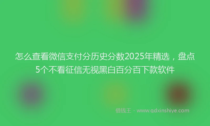 怎么查看微信支付分历史分数2025年精选，盘点5个不看征信无视黑白百分百下款软件