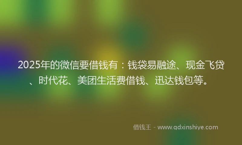 2025年的微信要借钱有：钱袋易融途、现金飞贷、时代花、美团生活费借钱、迅达钱包等。