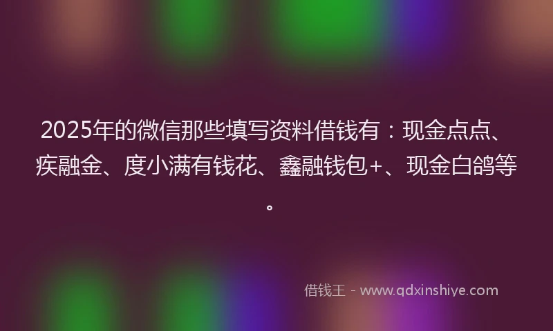 2025年的微信那些填写资料借钱有：现金点点、疾融金、度小满有钱花、鑫融钱包+、现金白鸽等。