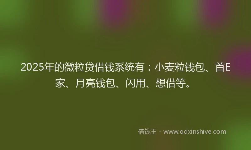 2025年的微粒贷借钱系统有：小麦粒钱包、首E家、月亮钱包、闪用、想借等。