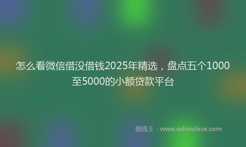 怎么看微信借没借钱2025年精选，盘点五个1000至5000的小额贷款平台