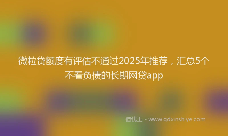 微粒贷额度有评估不通过2025年推荐，汇总5个不看负债的长期网贷app
