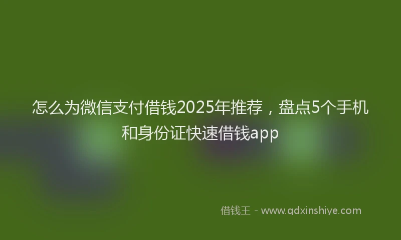 怎么为微信支付借钱2025年推荐，盘点5个手机和身份证快速借钱app