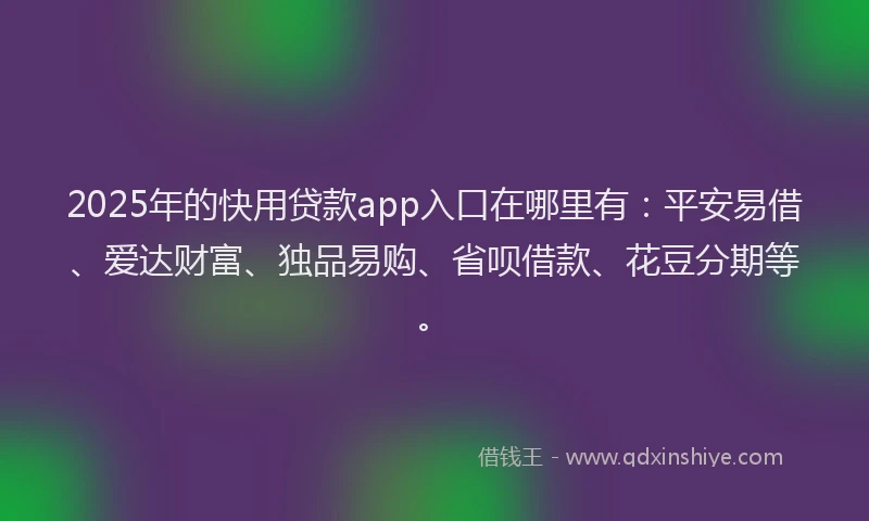2025年的快用贷款app入口在哪里有：平安易借、爱达财富、独品易购、省呗借款、花豆分期等。