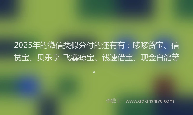 2025年的微信类似分付的还有有：哆哆贷宝、信贷宝、贝乐享-飞鑫琼宝、钱速借宝、现金白鸽等。