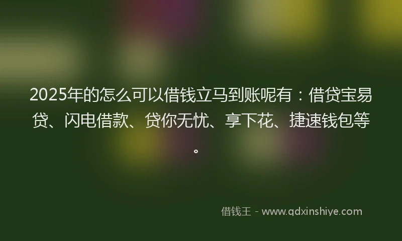 2025年的怎么可以借钱立马到账呢有：借贷宝易贷、闪电借款、贷你无忧、享下花、捷速钱包等。