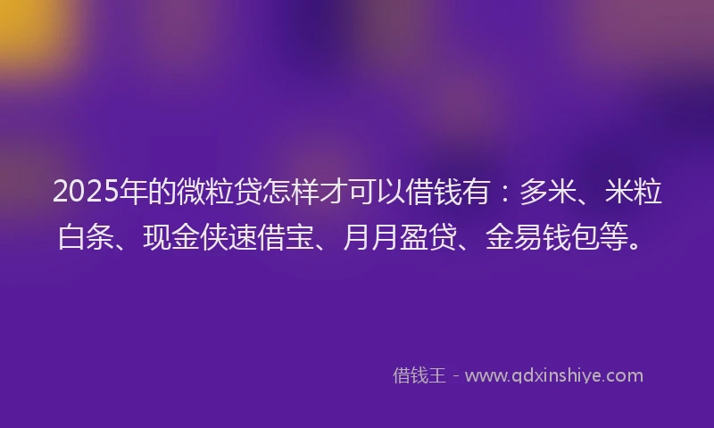 2025年的微粒贷怎样才可以借钱有：多米、米粒白条、现金侠速借宝、月月盈贷、金易钱包等。