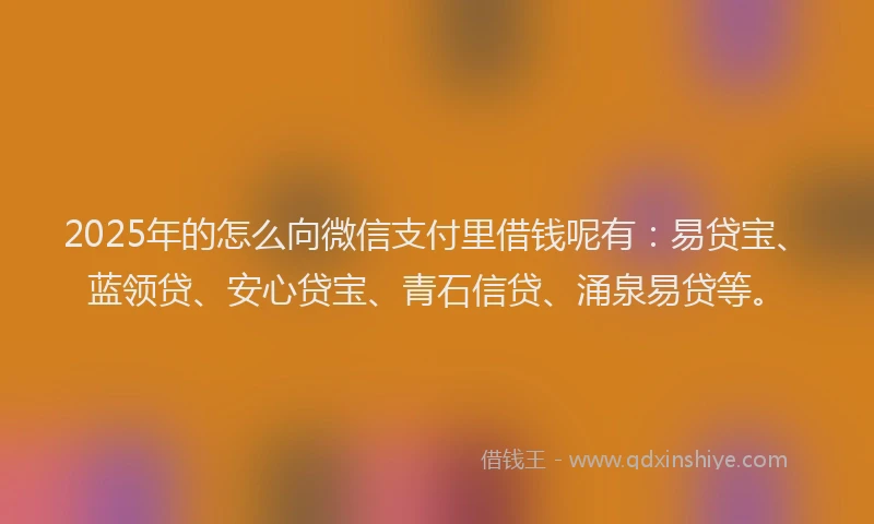 2025年的怎么向微信支付里借钱呢有：易贷宝、蓝领贷、安心贷宝、青石信贷、涌泉易贷等。