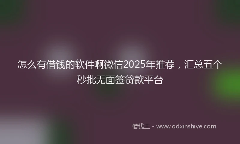怎么有借钱的软件啊微信2025年推荐，汇总五个秒批无面签贷款平台