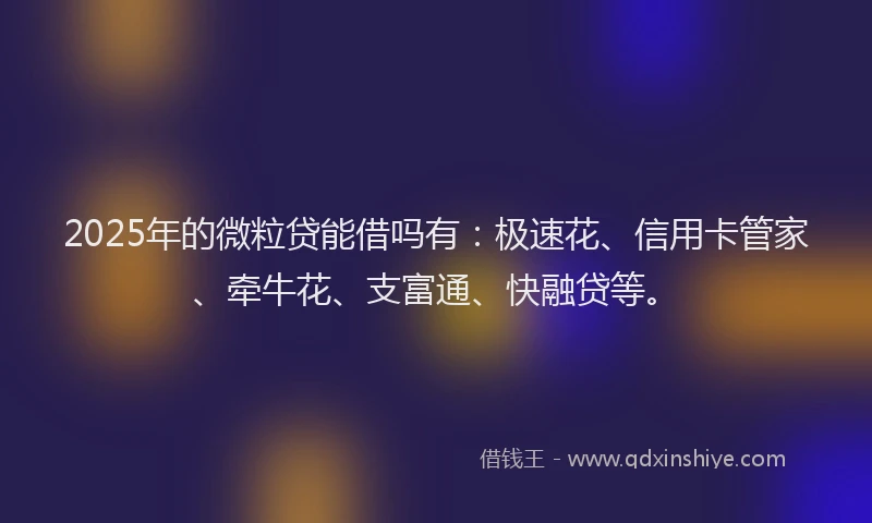 2025年的微粒贷能借吗有：极速花、信用卡管家、牵牛花、支富通、快融贷等。