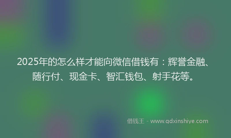 2025年的怎么样才能向微信借钱有：辉誉金融、随行付、现金卡、智汇钱包、射手花等。
