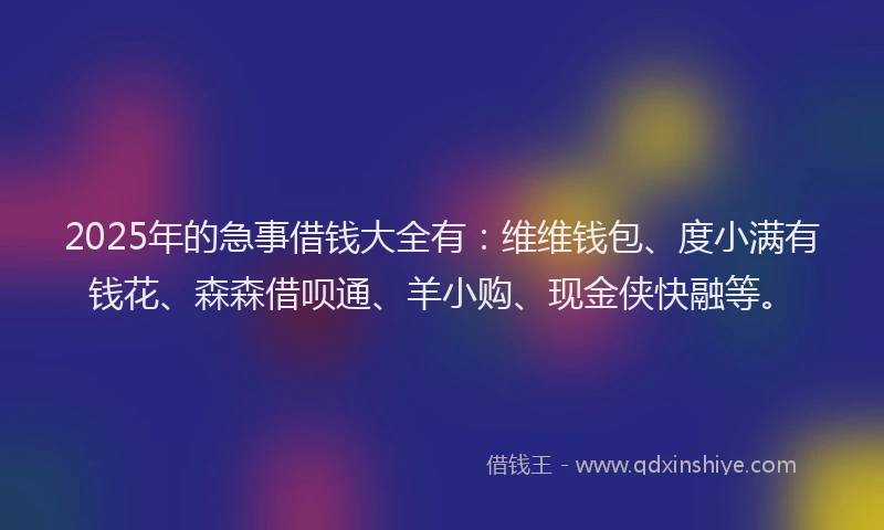2025年的急事借钱大全有：维维钱包、度小满有钱花、森森借呗通、羊小购、现金侠快融等。