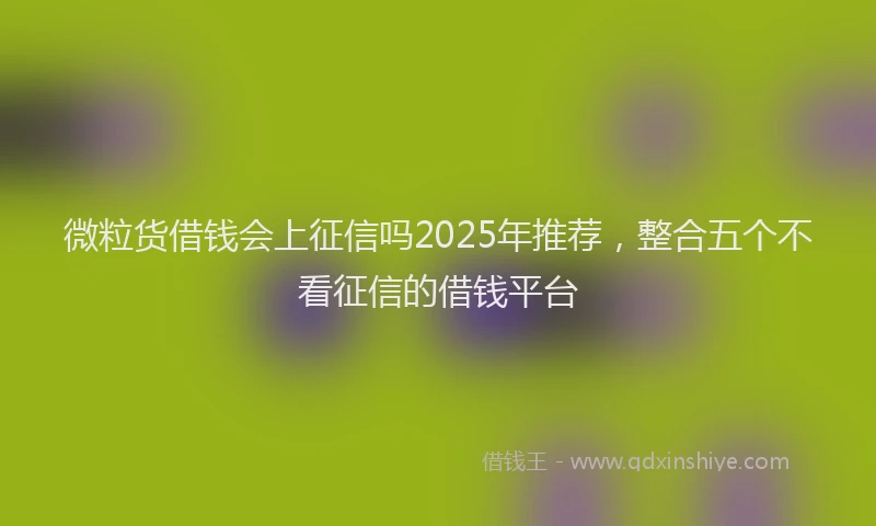 微粒货借钱会上征信吗2025年推荐，整合五个不看征信的借钱平台