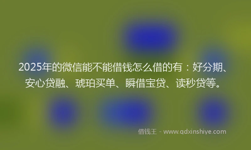2025年的微信能不能借钱怎么借的有：好分期、安心贷融、琥珀买单、瞬借宝贷、读秒贷等。